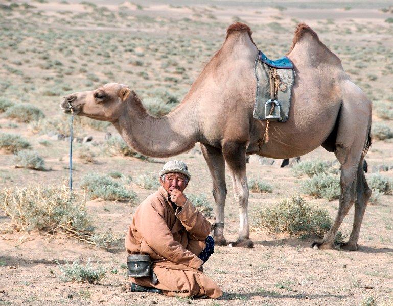 Herder and Camel.jpg